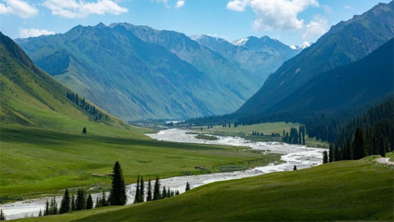 公司治理獲高度認(rèn)可！奇正藏藥入選中上協(xié)“最佳實(shí)踐案例”